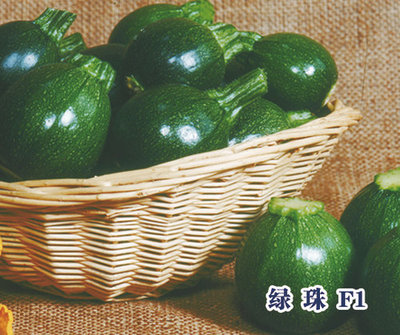 绿珠 F1