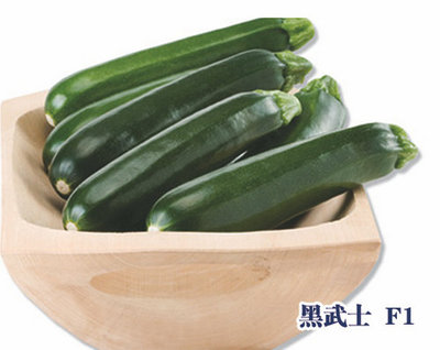 黑武士 F1