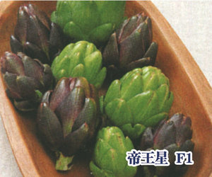帝王星