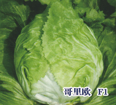 哥里欧