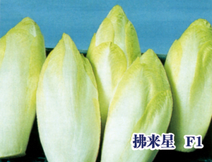拂来星 F1